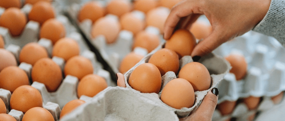 Vrai ou faux: les œufs se conservent mieux au réfrigérateur