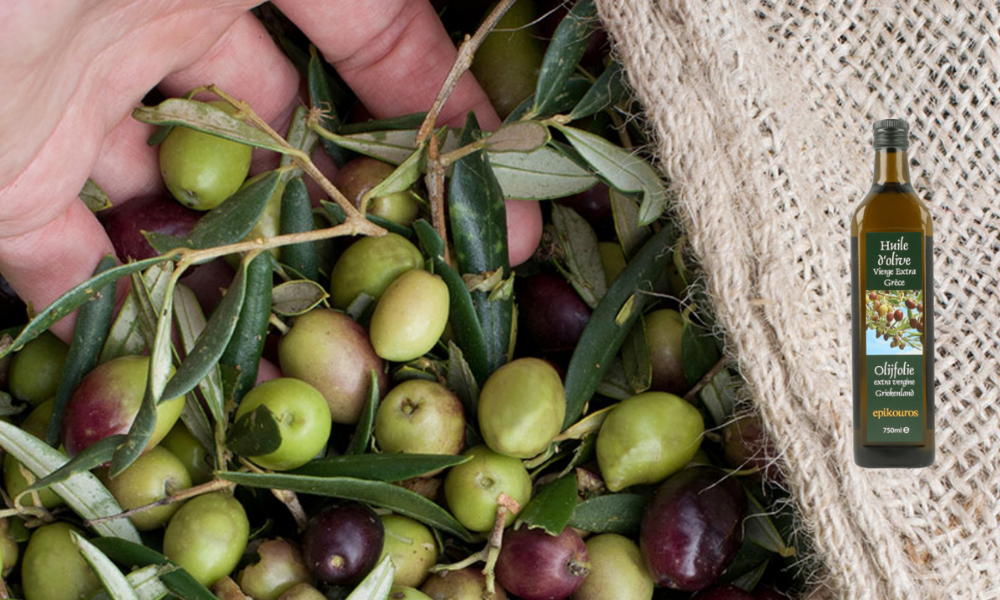 Epikouros : la meilleure huile d'olive extra vierge du monde