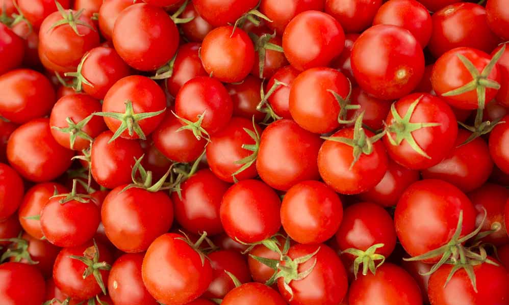 Comment conserver les tomates !