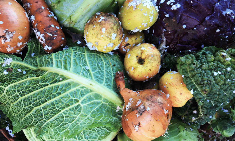 Vrai ou faux : les légumes d'hiver sont moins sains que ceux d'été