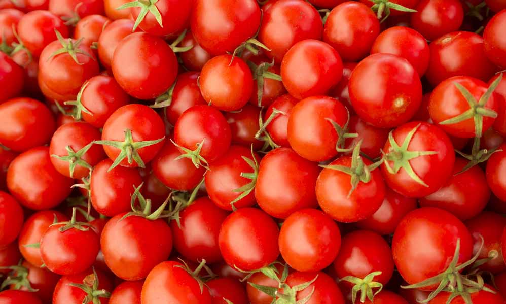 Comment conserver les tomates !